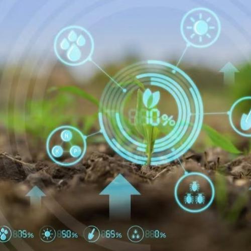 LoRaWAN Soil EC Sensor: A Technological Tool for Accurately Sensing the Secrets of Soil