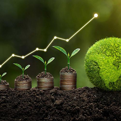 Exploring the underground 'guardian': multidimensional application of tubular soil temperature and humidity sensors