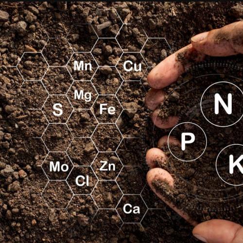 Soil NPK nitrogen, phosphorus, and potassium sensors: Empowering the 