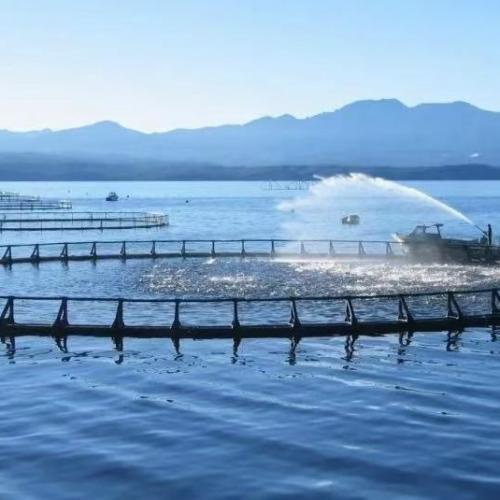From Rivers to Waterworks: The Key Role of Water Quality Sensors in Smart Water Management