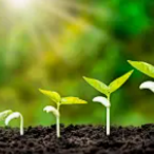 Precision Agriculture Practice: How to Optimize Irrigation and Fertilization through Soil Sensors?
