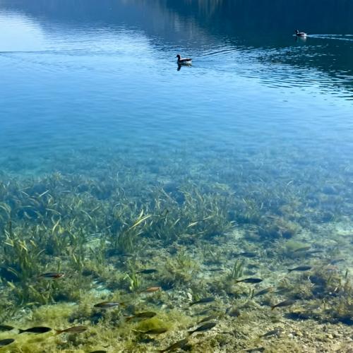 Revolutionize Water Quality Monitoring: The ZONEWU Wireless LoRaWAN Turbidity Sensor