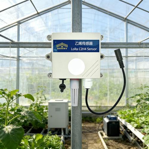 LoRaWAN Wireless C2H4 Sensor