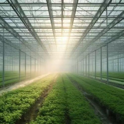 Purchasing Guide for LoRaWAN Oxygen, Temperature & Humidity Sensors: 5 Key Points to Choose the Right Device