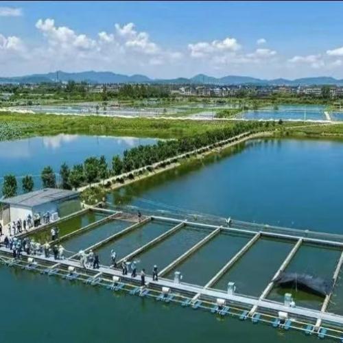 Procurement Guide for LoRa Nitrate Ion Sensors: Core Selection & Key Pitfalls to Avoid