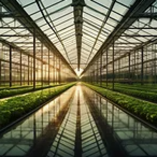 Don't Let Invisible Gases Erode Your Farm's Profits
