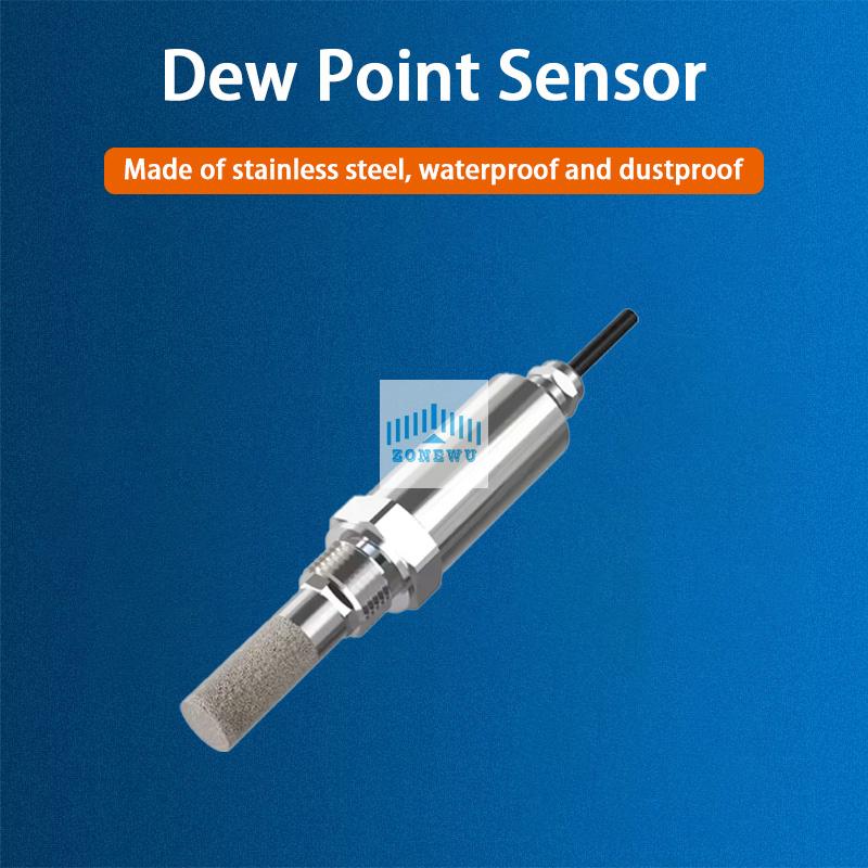 Temperature Humidity Dew Point Transmitter5.jpg