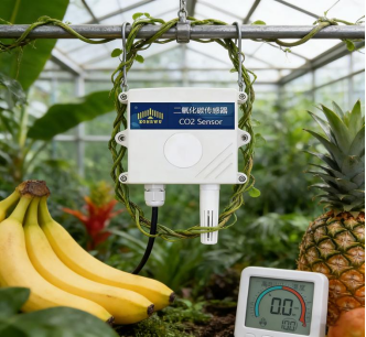 1767751583944855.png image.png