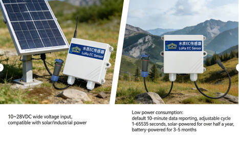 1768360277184095.png image.png